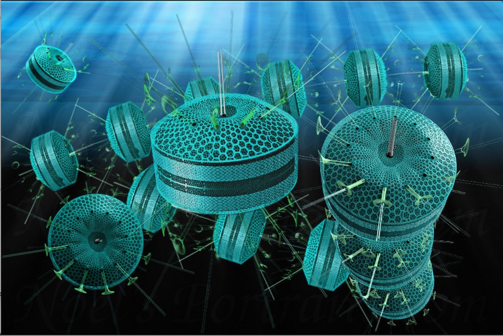 Thalassiosira, a beauty under the microscope is a glass housed diatom common in colder waters and contributes important oils to the ocean's food chains.