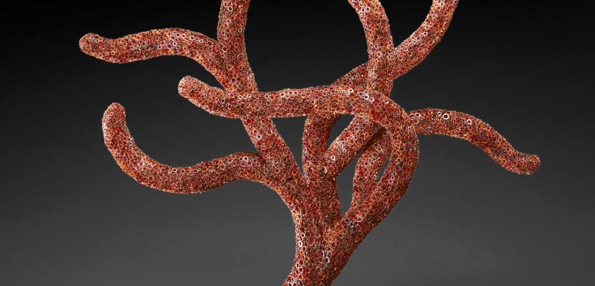 Red Polyp